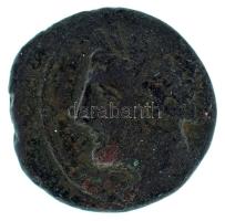 Karthágó Kr.e. 350-200 AE18 bronz érme (4,43g) T:VF Carthago 350-200 BC AE18 bronze coin, head of Tanit left / horse head right (4,43g) C:VF