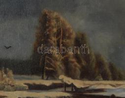 Jelzés nélkül: Téli séta. Olaj, vászon. Dekoratív, kissé sérült fakeretben, 42,5×51,5 cm