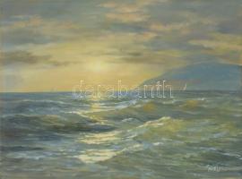 Makray János (1955-): Vitorlások (Balaton?). Olaj, fatábla. Jelzett. 30×40 cm