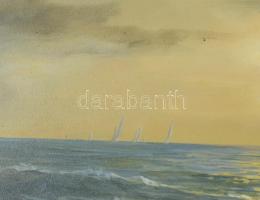 Makray János (1955-): Vitorlások (Balaton?). Olaj, fatábla. Jelzett. 30×40 cm