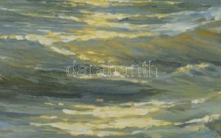 Makray János (1955-): Vitorlások (Balaton?). Olaj, fatábla. Jelzett. 30×40 cm