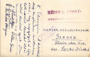 Temesvár, Timisoara; Elisabetin, Biserica rom. cat. si Colegiul Salvatorian / Erzsébetváros, Római k...