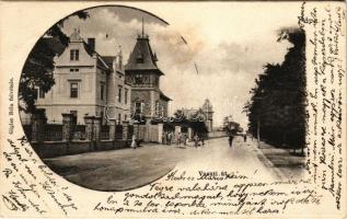 1902 Pápa, Vasúti út. Gigler Béla felvétele (fl)