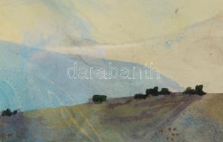 Marsovszky Endre (1916-1989): Alphütte. Színes tus, papír, jelezve jobbra lent, paszpartuban, 24x44 ...