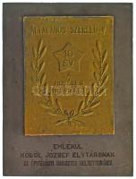 1960-1970 k. "Általános Szerelő Vállalat - 10 év - A hűséges munkáért" bronzozott fém plakett "Emlékül Köböl József elvtársnak az Építésügyi Miniszter helyettesének" (115,5x86,5mm) T:AU,XF kopott bronzozás