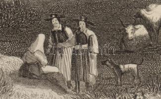 1838 Vác / Waitzen. Acélmetszet, papír. In: Meyer's Universum, DCXXVII t. (Hildburghausen, 1838...