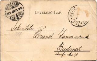 1902 Pécel, látkép. Szamek P. kiadása (szakadások / tears)