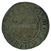 Lengyel Királyság 1501-1506. 1/2gr Ag "I. Jagelló Sándor" Krakkó (0,75g) T:VF,F 
Polish K...