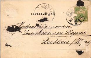 1903 Pécs, Siklósi utca, Balogh Mihály, Goldberger üzlete. Fischer Ferenc kiadása (Rb)