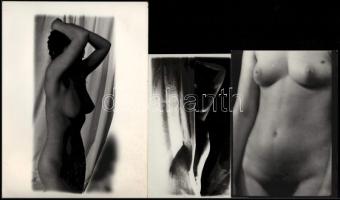 5 darab amatőr akt fotó, 30x25 cm alatt, gyűrődéssel.