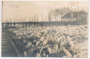 Újvár, Uivar (Temes, Timis); jégzajlás, gát / drifting ice, dam. photo (fl)