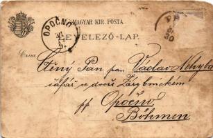 Pécs, látkép, borospohár címerrel és szőlővel. Schwidernoch Károly Art Nouveau, floral, litho (gyűrő...