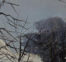 Németh György jelzéssel: Lovasszekér. Olaj, karton, dekoratív fakeretben, 25×35 cm