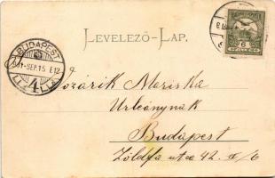 1901 Pécs, Székesegyház (felületi sérülés / surface damage)