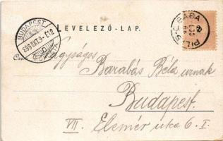 1899 Piliscsaba, Déli és északi katonai tábor / Südlager, Nordlager. Blau Albert Art Nouveau, floral...