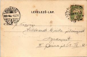 1903 Piliscsaba, József főhercegi Klotild villatelep, Jozephy vendéglője kerthelyiséggel. Divald Kár...