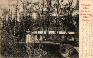 Piliscsaba, Déli tábor Ferenc József szoborral (felületi sérülés / surface damage)