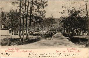 Piliscsaba, Északi tábor. K.u.k. katona