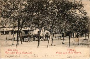 1903 Piliscsaba, Déli tábor. K.u.k. katonák (fl)
