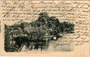 1901 Nádasdladány, Nádasladány; park részlet. Klösz György kiadása (EK)
