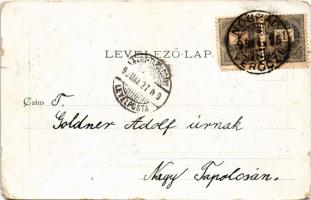 1899 Verőce, Nógrádverőce; éjjeli látkép holdfényben (EM)