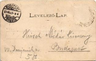 1899 Nyíregyháza, Bessenyei György szobor (szakadások / tears)