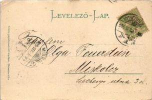 1905 Nyíregyháza, Vármegyeház. Fekete kiadása (EB)