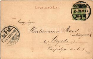 1904 Nyíregyháza, Megyeház tér. Levelezőlap kiadóhivatal (EK)