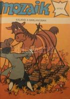 1979-1980 Mozaik képregények két évfolyam füzetei egybe kötve, egészvászon kötésben, jó állapotban. 24 db szám vegyesen.
