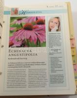 Természetes gyógymódok - Ötletek az egészség és a szépség megőrzéséhez ( kártyacsomag, gyűrűsmappába...