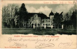 1901 Nekcse, Nasice; Gróf Pejacsevich kastély. Ignatz Novakovic kiadása / Dvor grofa Pejacsevicha / Gräflich Pejacsevichiches Schloss / castle