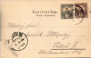 1901 Nekcse, Nasice; Gróf Pejacsevich kastély. Ignatz Novakovic kiadása / Dvor grofa Pejacsevicha / ...