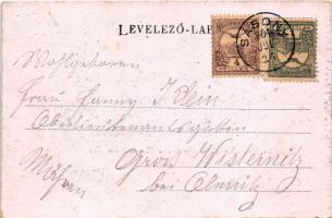 1901 Nezsider, Neusiedl am See; látkép. Horváth J. kiadása / view (EK)