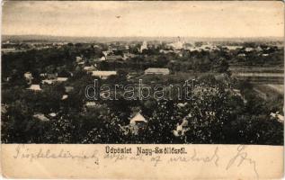 Nagyszőlős, Nagyszőllős, Vynohradiv (Vinohragyiv), Sevljus, Sevlus; látkép / general view (Rb)