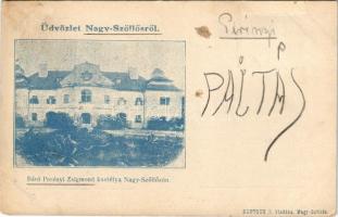 1903 Nagyszőlős, Nagyszőllős, Vynohradiv (Vinohragyiv), Sevljus, Sevlus; Perényi kastély. A képeslap címzettje Haas Clemence bárónő. Deutsch I. kiadása / Zámek / castle + "M.SZIGET - MISKOLCZ - BUDAPEST33. SZ." vasúti mozgóposta bélyegző (szakadás / tear)