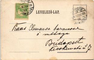 1903 Nagyszőlős, Nagyszőllős, Vynohradiv (Vinohragyiv), Sevljus, Sevlus; Perényi kastély. A képeslap...