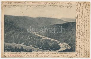 1907 Resicabánya, Resicza, Recita, Resita; fűrésztelep, fatelep. Ifj. Neff Károly kiadása / sawmill, lumber yard + "RESICZA - VOJTEK 95. SZ. A" vasúti mozgóposta bélyegző (vágott / cut)