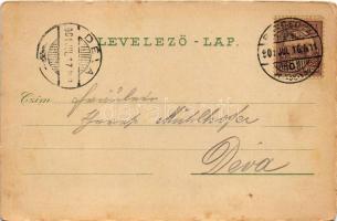 1901 Pancsova, Pancevo; Vesztegzár a Temes és Duna folyónál. Kohn Samu kiadása / Contumaz / Timis an...