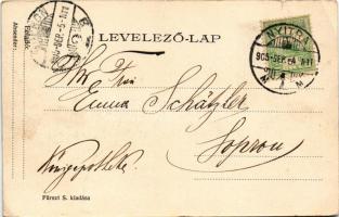 1905 Nyitra, Nitra; látkép / general view (kis szakadás / small tear)