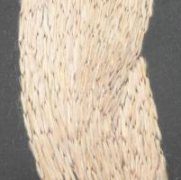 cca 1920/30 2 darab art deco fonalkép üvegezett keretben, 42x25 cm