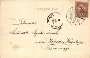 1900 Nyitra, Nitra; Püspöki vár / bishop's castle (EK)