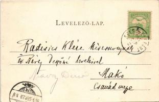 1905 Felsőelefánt, Szent János Elefánt, Nyitra-Szent-János, Oberelefant, Horné Lefantovce; kastély. ...