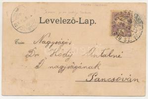 1900 Szászkabánya, Németszászka, Sasca Montana; Malomvölgy, vízimalom. C. Kehrer kiadása / Mühlthal ...