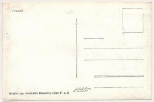 Tasnád, utca részlet, Rosenberg Jenő, Kálmán Dávid üzlete, Royal falatozó és hentes, szálloda / stre...