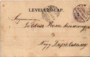 1898 Nyitra, Nitra; látkép. Iritzer Zsigmond kiadása / view (fl)