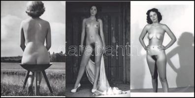"Válogatás a modellek albumából", cca 1989 előtt készült, szolidan erotikus felvételek, 6 db modern nagyítás, jelzés nélkül, 15x10 cm és 10x15 cm