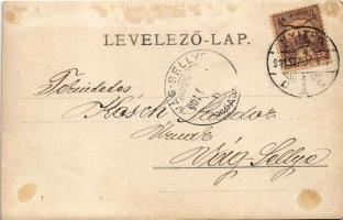 1901 Nyitra, Nitra; Kossuth tér, Nemzeti Színház, ünnepség, magyar zászlók / theatre, ceremony, Hung...