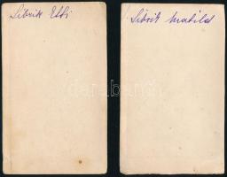 cca 1860-1870 A szarvaskendi és óvári Sibrik család (a Csém nemzetségből származó, ősi Vas vármegyei...