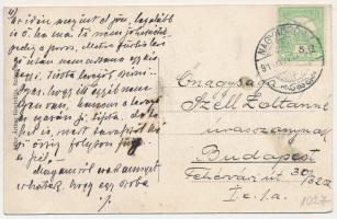 1911 Puj, Pui (Hunyad); Községháza. Adler Arthur fényirdája (Szászváros) / town hall (fa)