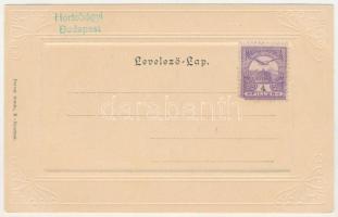 Balassagyarmat, Izraelita templom, zsinagóga. Darvai Ármin kiadása. Art Nouveau, Emb. (fl)